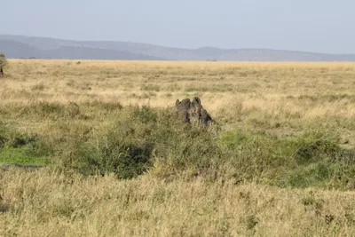 DSC_3812 (Large).JPG